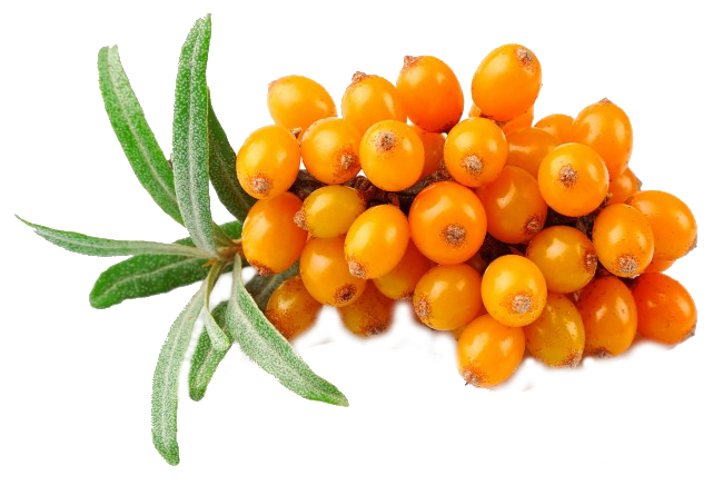 f3066bc662b418bce39a11053a6b4443.png